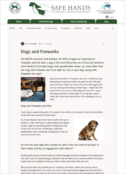 Portfolio Safe Hands Clinical Canine Massage